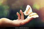 تصویر ورودی باید 
