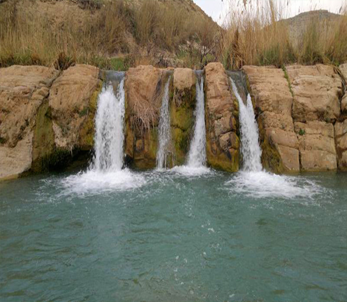 🌐 شرکت طراحی وب سایت ایوان با بهترین سایت ساز ایرانی