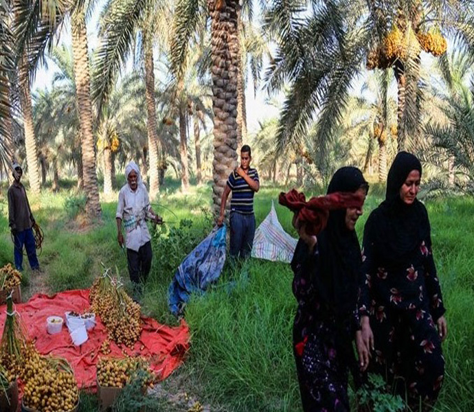 🌐 شرکت طراحی وب سایت دلگان با بهترین سایت ساز ایرانی